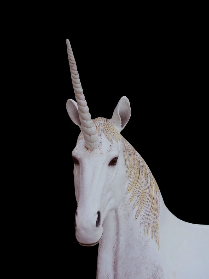 Unicorn Rides